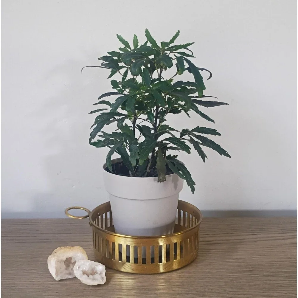 Vintage Solid Brass Pillar Candle Holder, Candle Dish, Coffee Table Decor